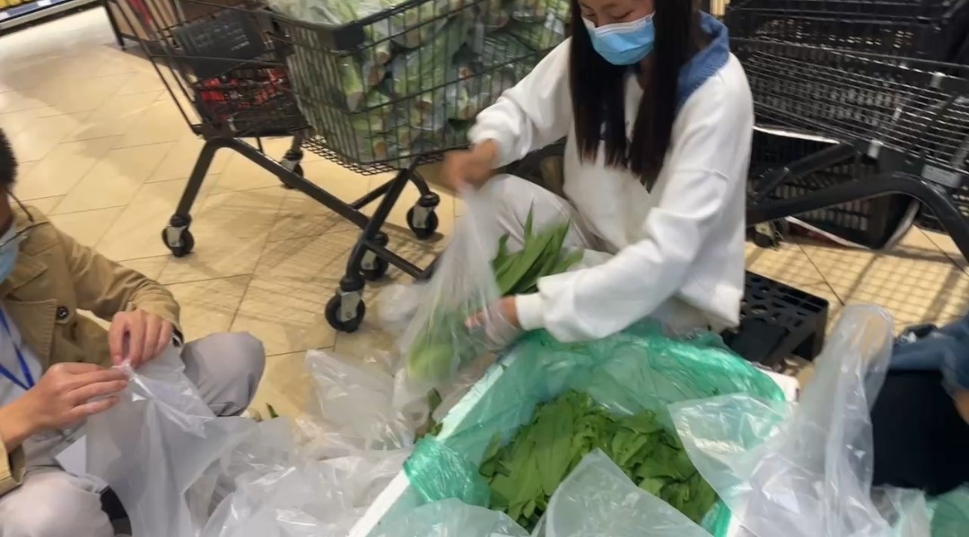 志愿逆行淬党性，以身立教显师志