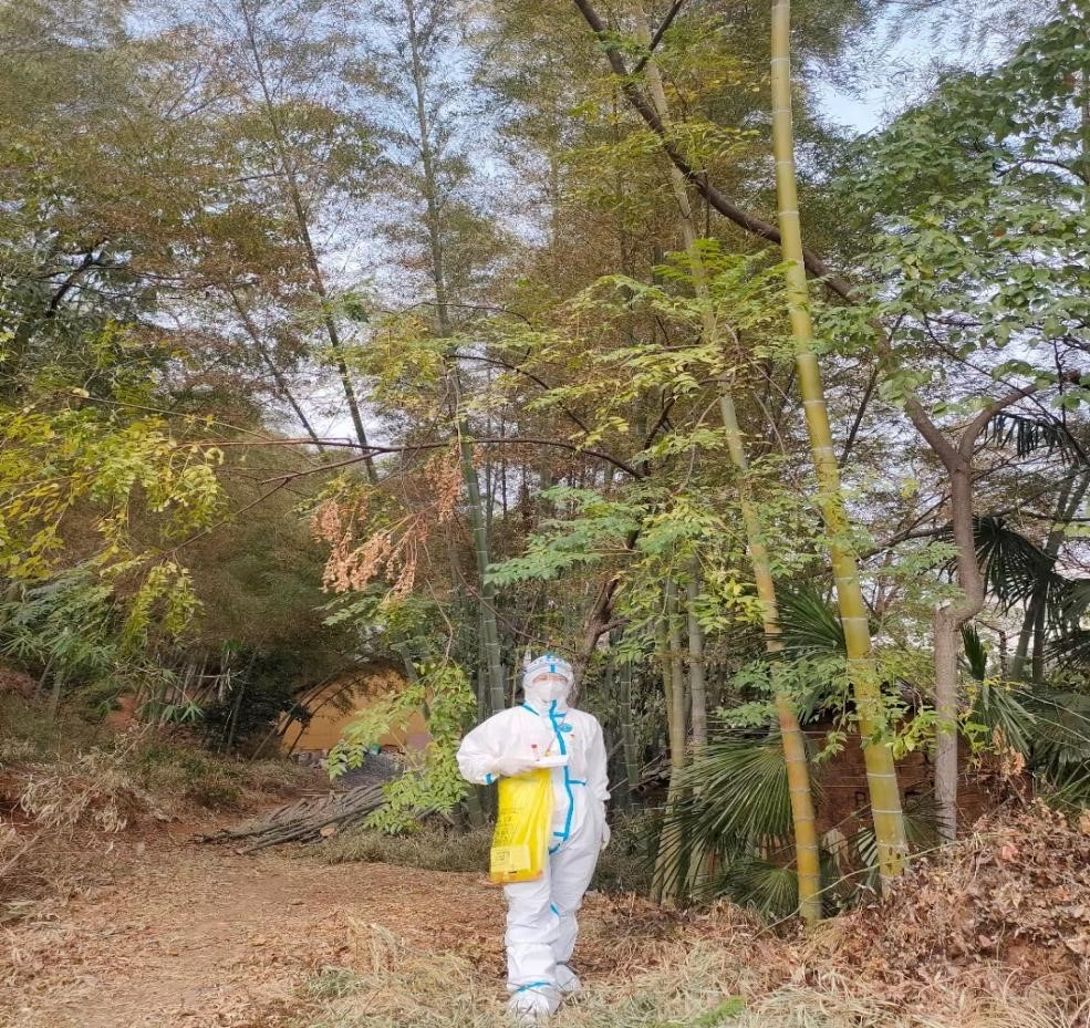 志愿逆行战疫情 师者大爱勇担当