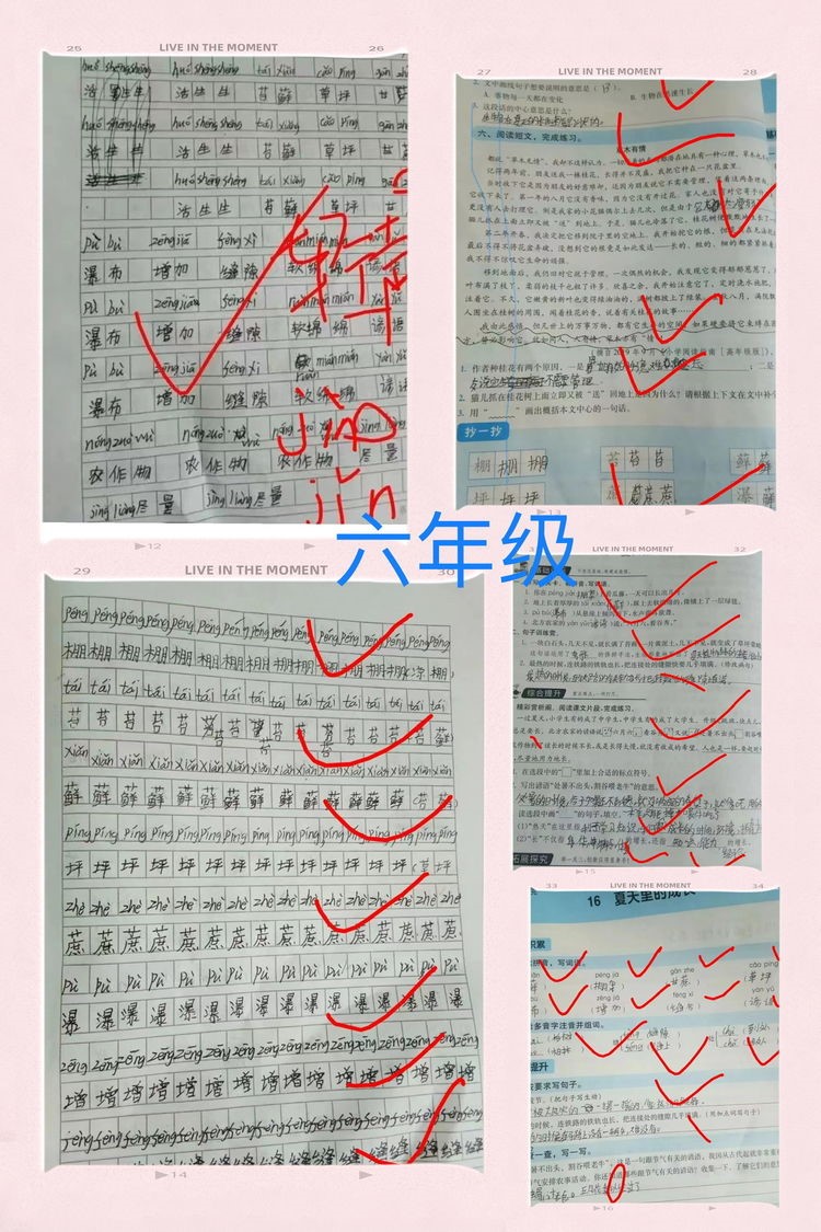 “疫”起努力，共育未来