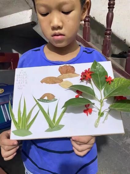 天天有收获、停课不停学、梦想不停步