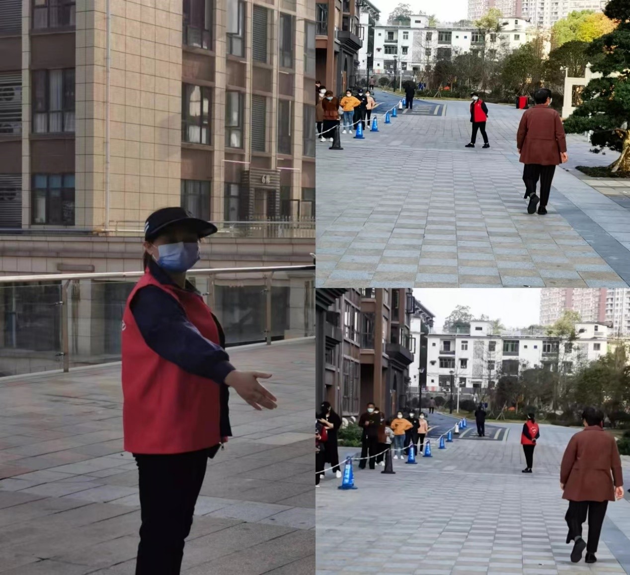 教师志愿者在抗“疫”一线闪闪发光（三）