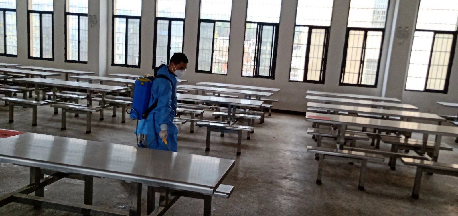 全面消杀，“净”待归来