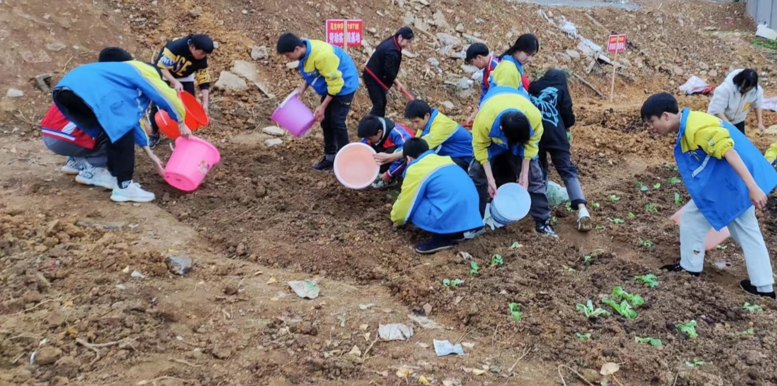 洞口县花古中学开展“劳动即教育、劳动促成长”活动