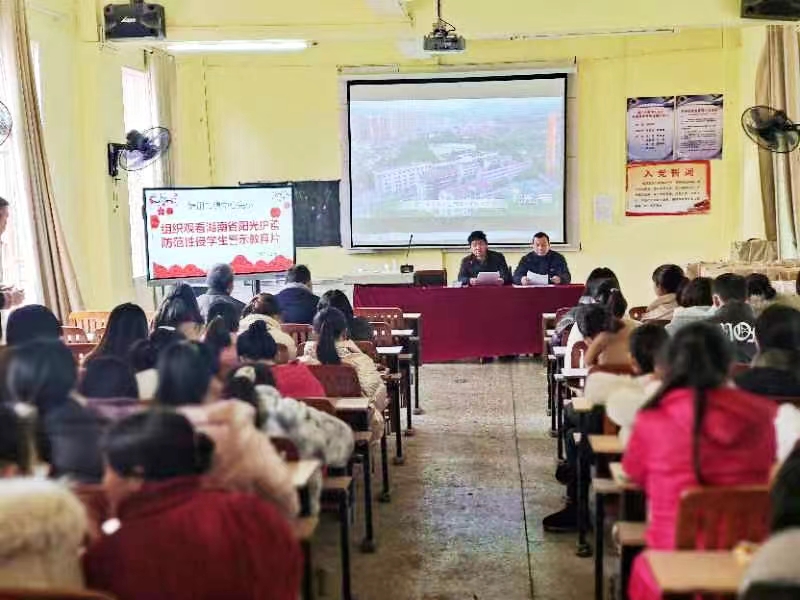 组织观看《阳光护蕾——湖南省防范性侵学生警示教育片》