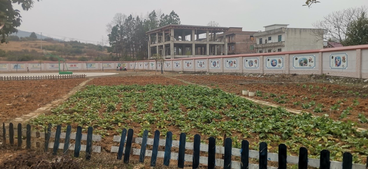 邵阳县谷洲镇中心学校领导赴郦家坪镇杉木桥中学、姚家铺小学考察学习劳动课程基地建设