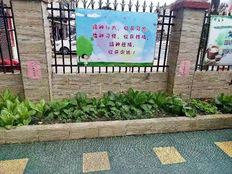 春意盎然 播种正当时