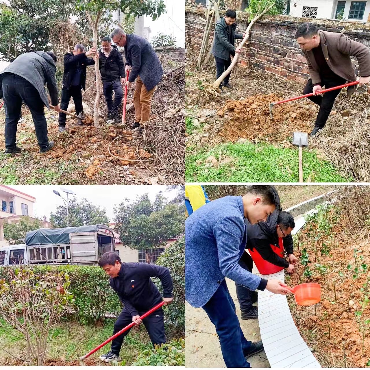 树绿色理想，建绿色校园