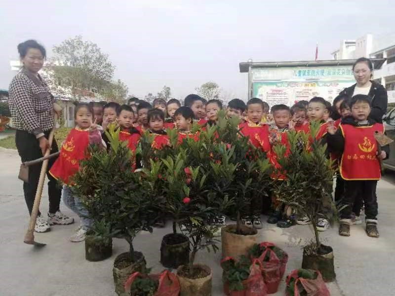 新宁县万塘乡白马田幼儿园 开展“我和小树共成长”植树节主题活动