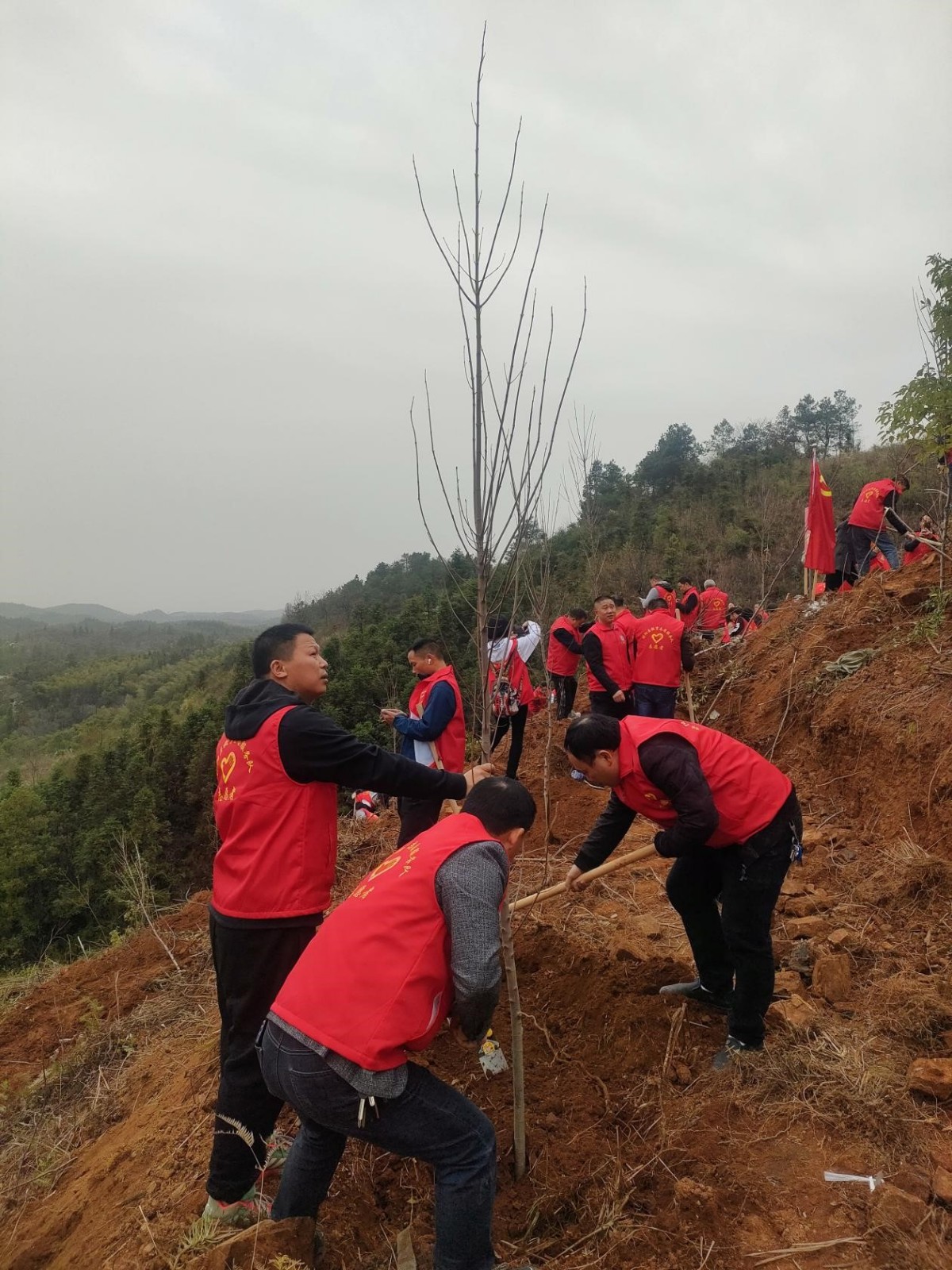 邵阳县塘渡口中学党支部开展义务植树活动