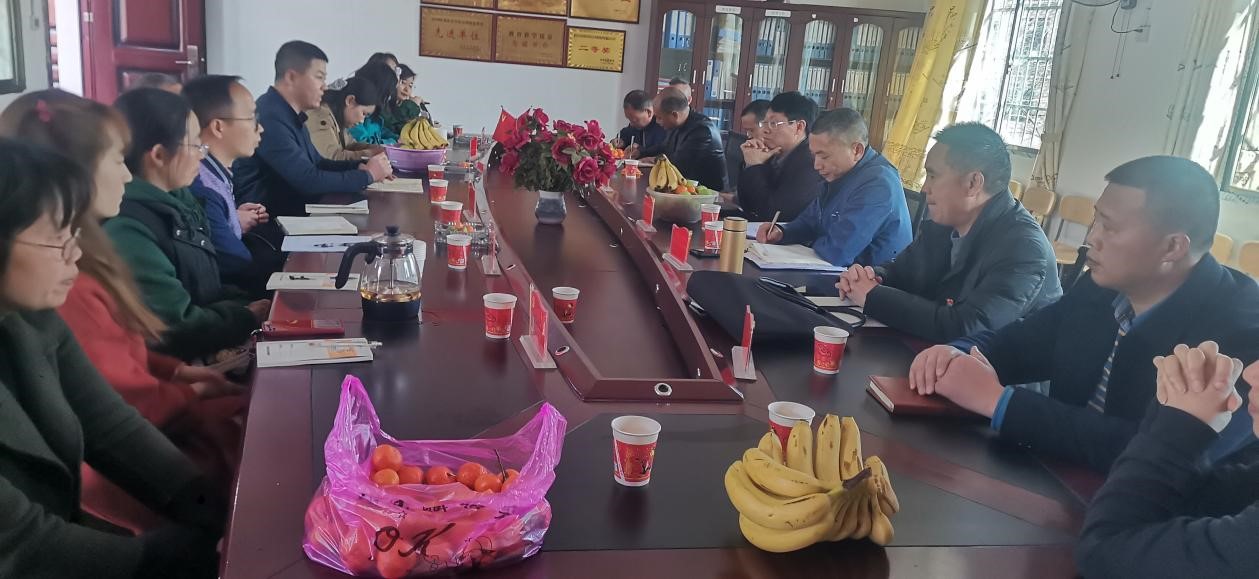 校际交流促提升 互学互促共成长