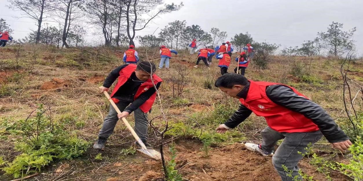 宁远二中第四党支部  党员义务植树 为山林再添新绿