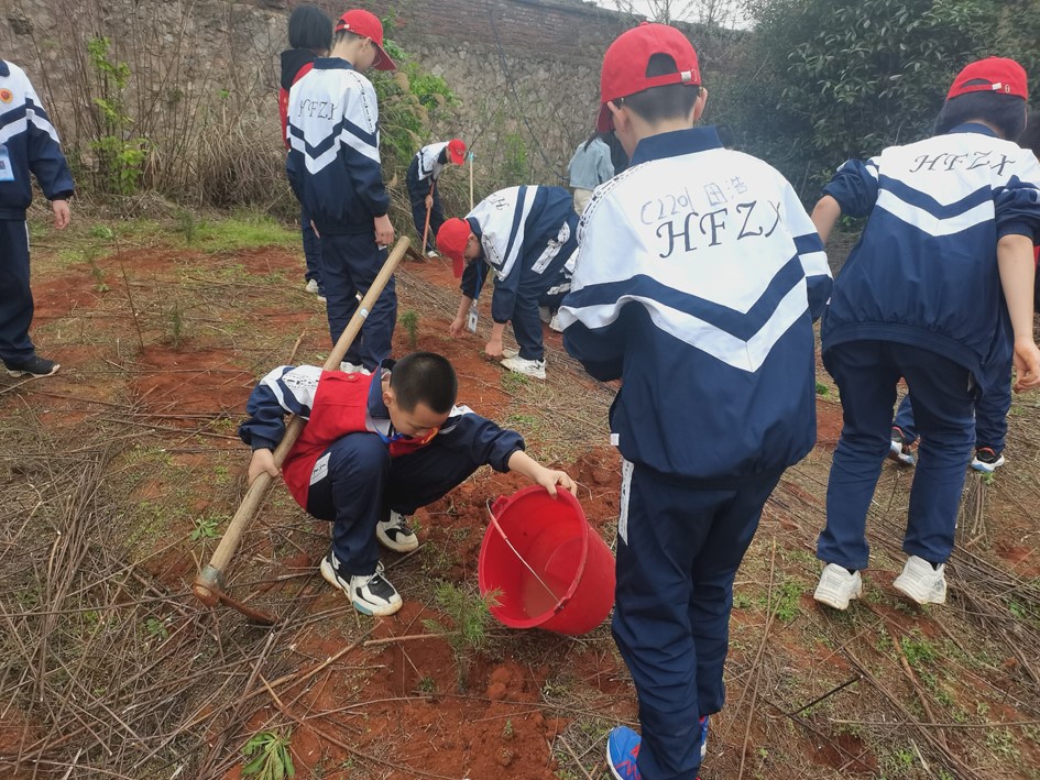 【永州】我为城市添新绿 党建引领践初心