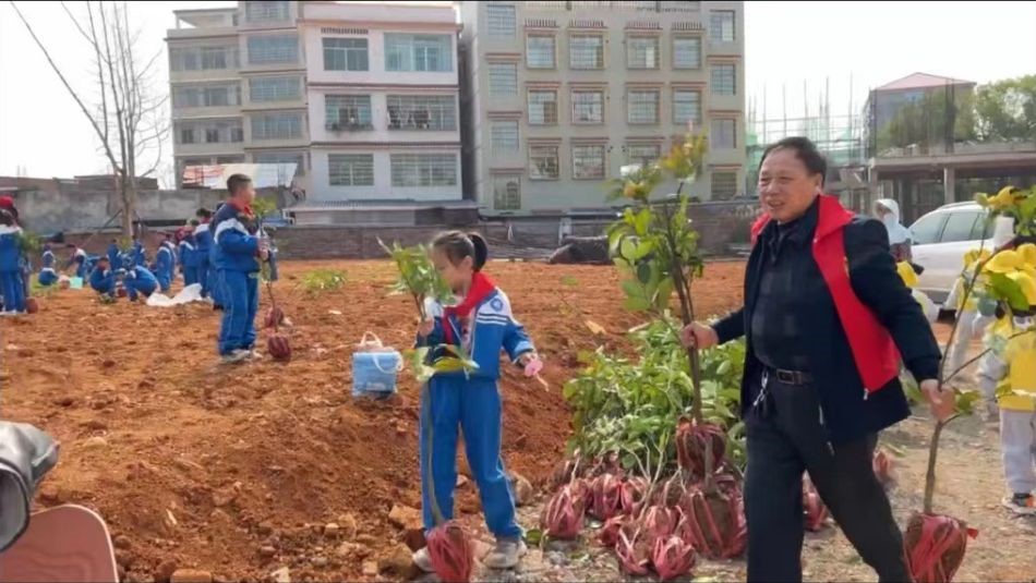 春风十里 一“植”有你