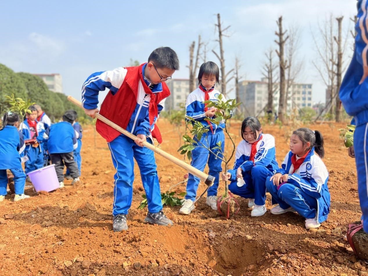“植”于心“树”未来 一起保护绿色地球
