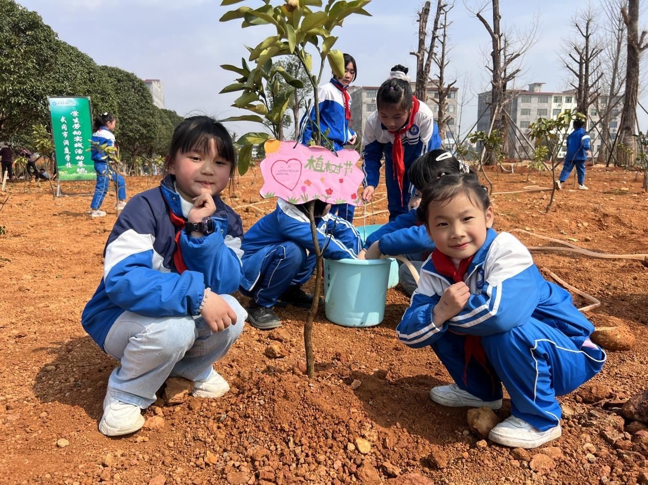 “植”于心“树”未来 一起保护绿色地球