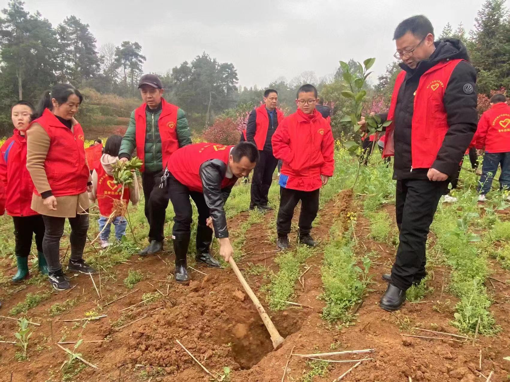 不负春光添新绿，阳春三月植树忙
