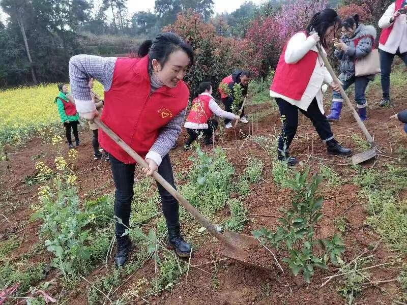 不负春光添新绿，阳春三月植树忙