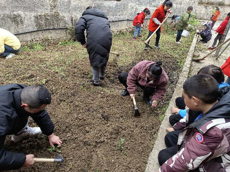 塘渡口镇塔水桥小学开展实践劳动课