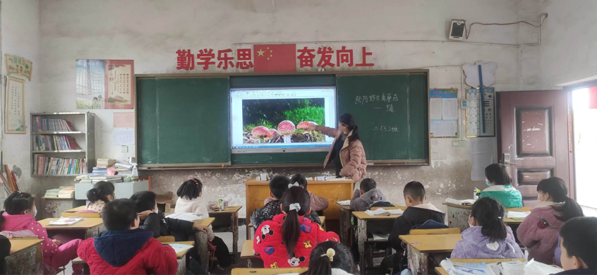 珍爱生命，拒食毒蘑菇