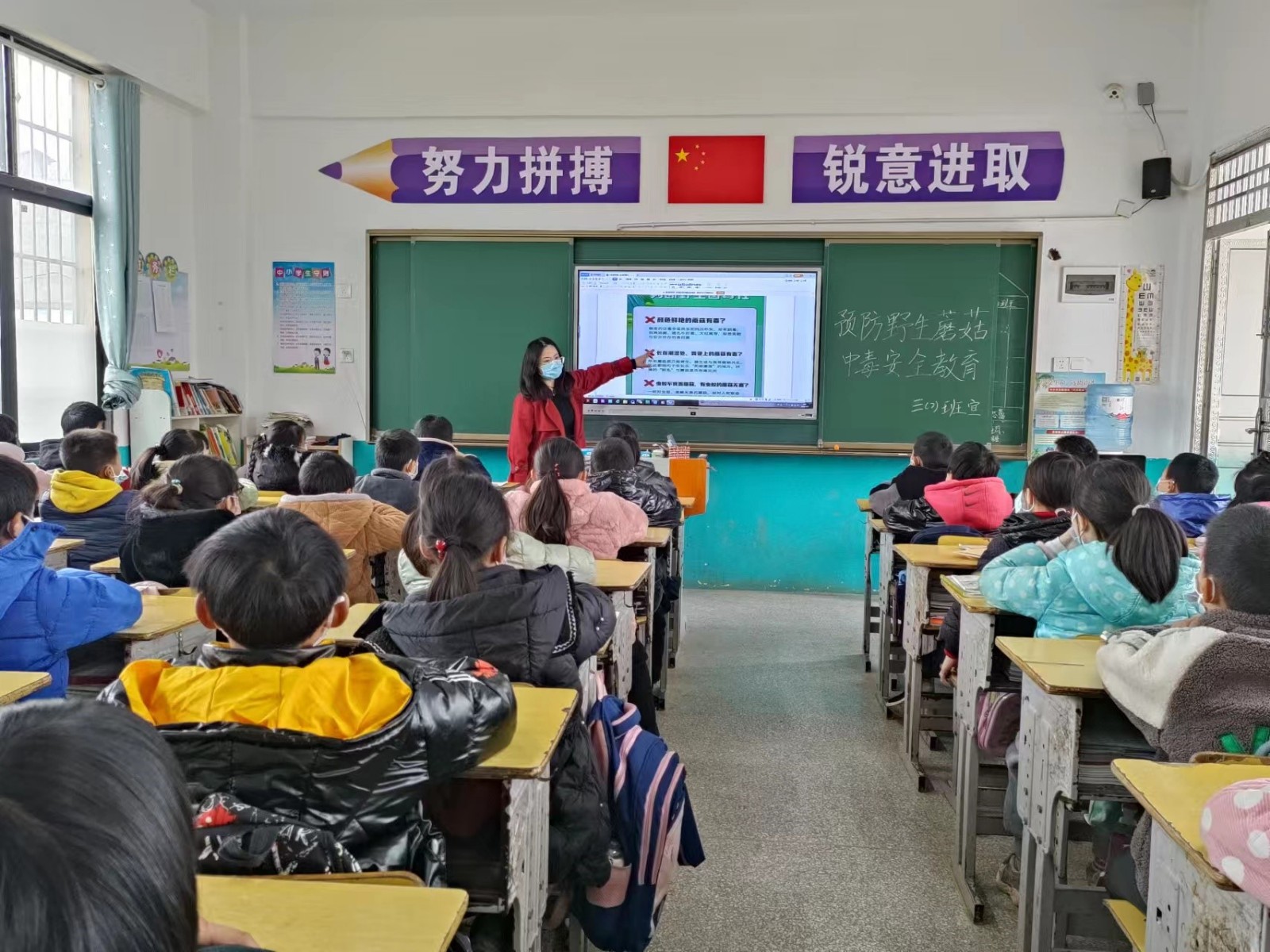 珍爱生命 远离毒菇