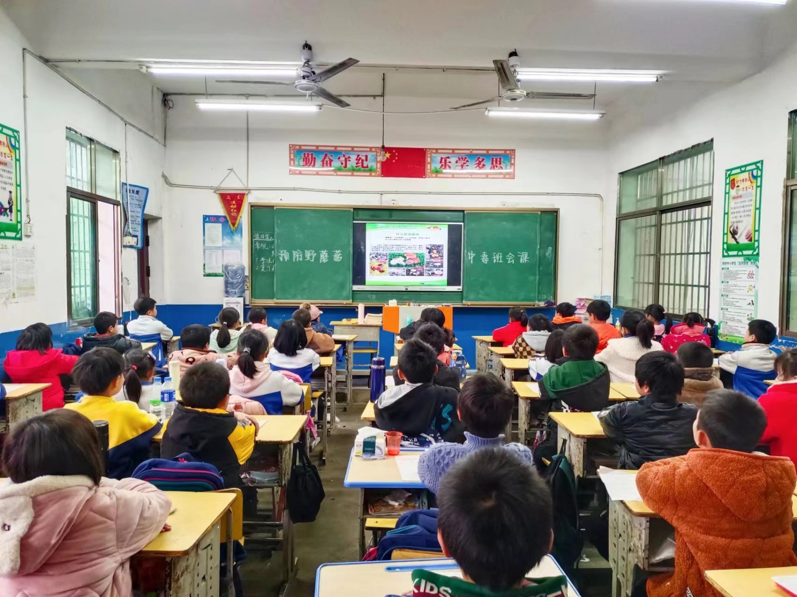 塘田市镇中心完全小学预防食用野生蘑菇中毒宣传教育