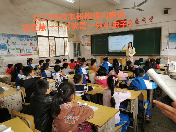 校本研修展风采 深耕教学促成长