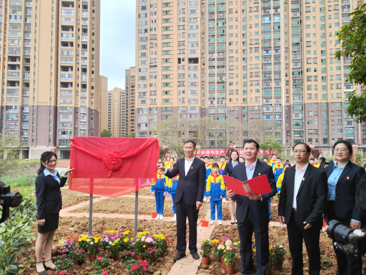 深耕“五育”并举 厚植劳动情怀