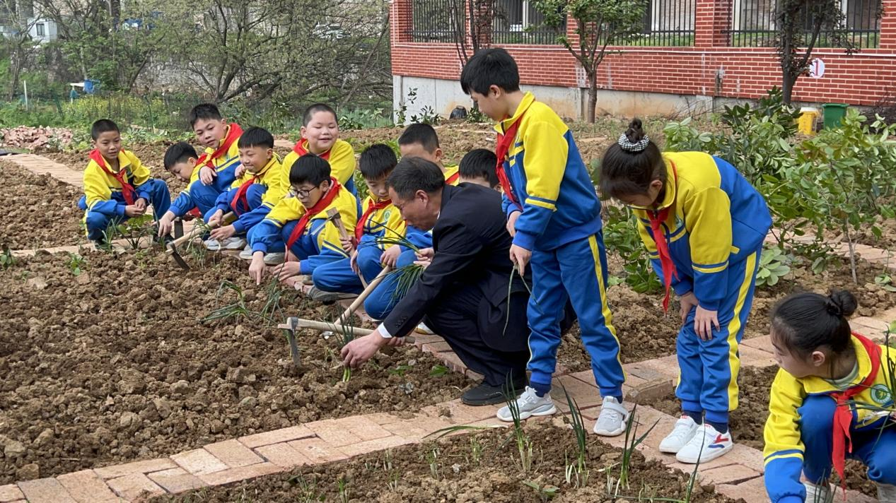 深耕“五育”并举 厚植劳动情怀
