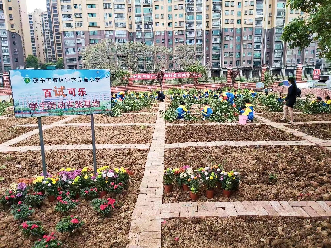 深耕“五育”并举 厚植劳动情怀