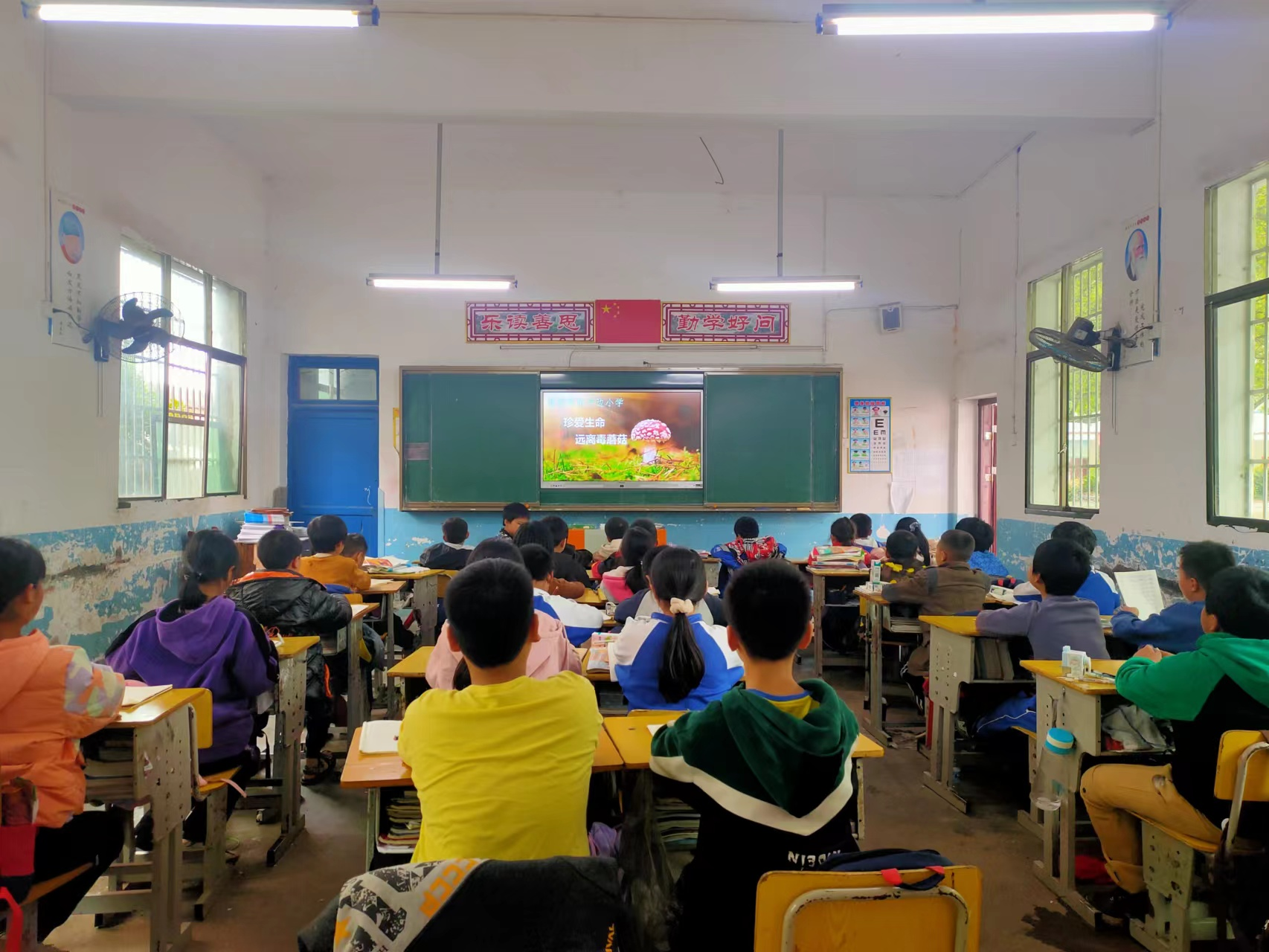 河边小学开展预防毒蘑菇安全教育