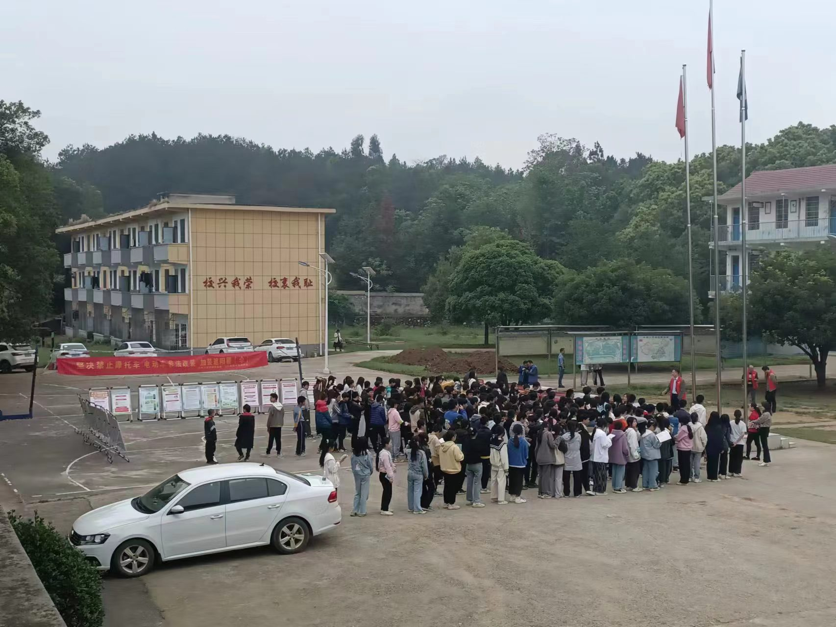 筑安全铁网 护花蕾成长