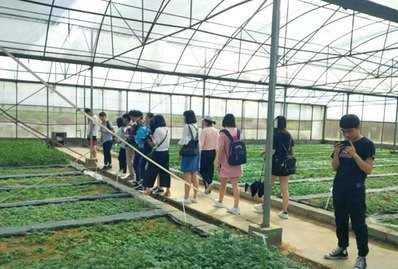 金称市镇中学开展“劳动美”社会实践活动