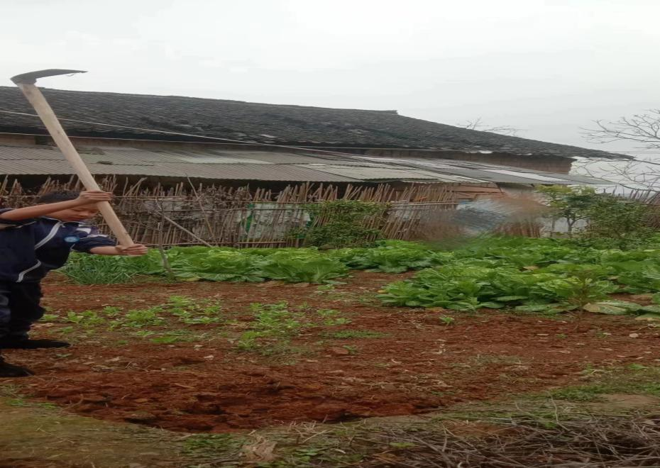 金称市镇中学开展“劳动美”社会实践活动