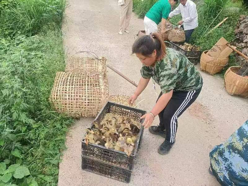 辰溪举办残疾人种养培训班