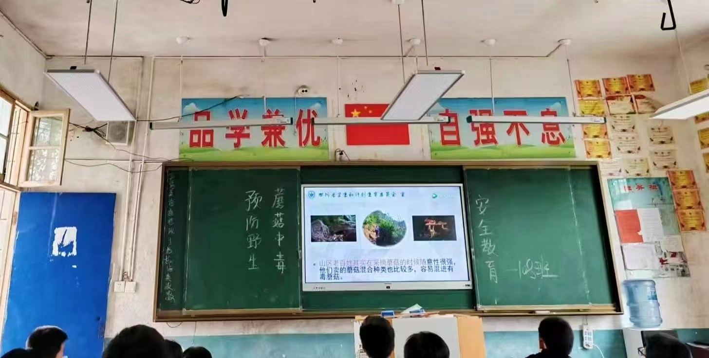 拒绝野生毒蘑菇，守护舌尖上的安全