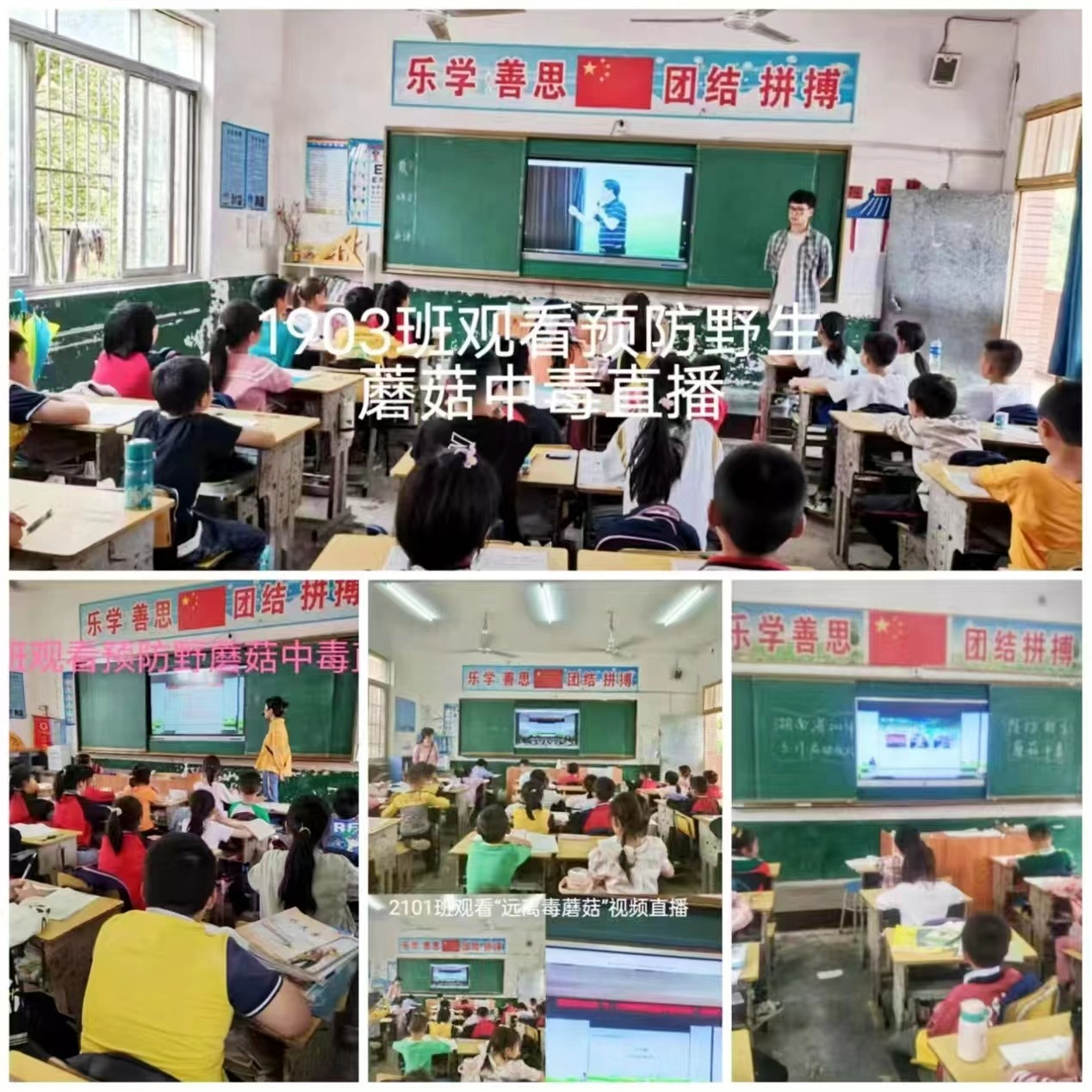 预防野生蘑菇中毒，守护校园安全