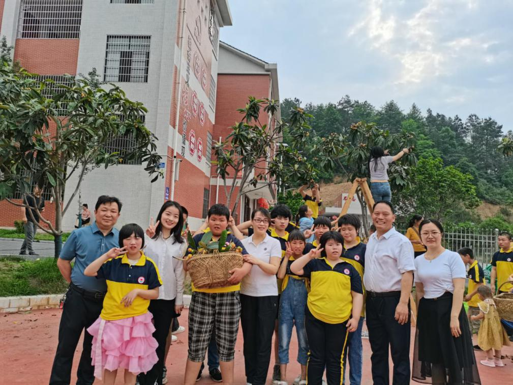 五月枇杷缀满枝，农耕欢情溢校园