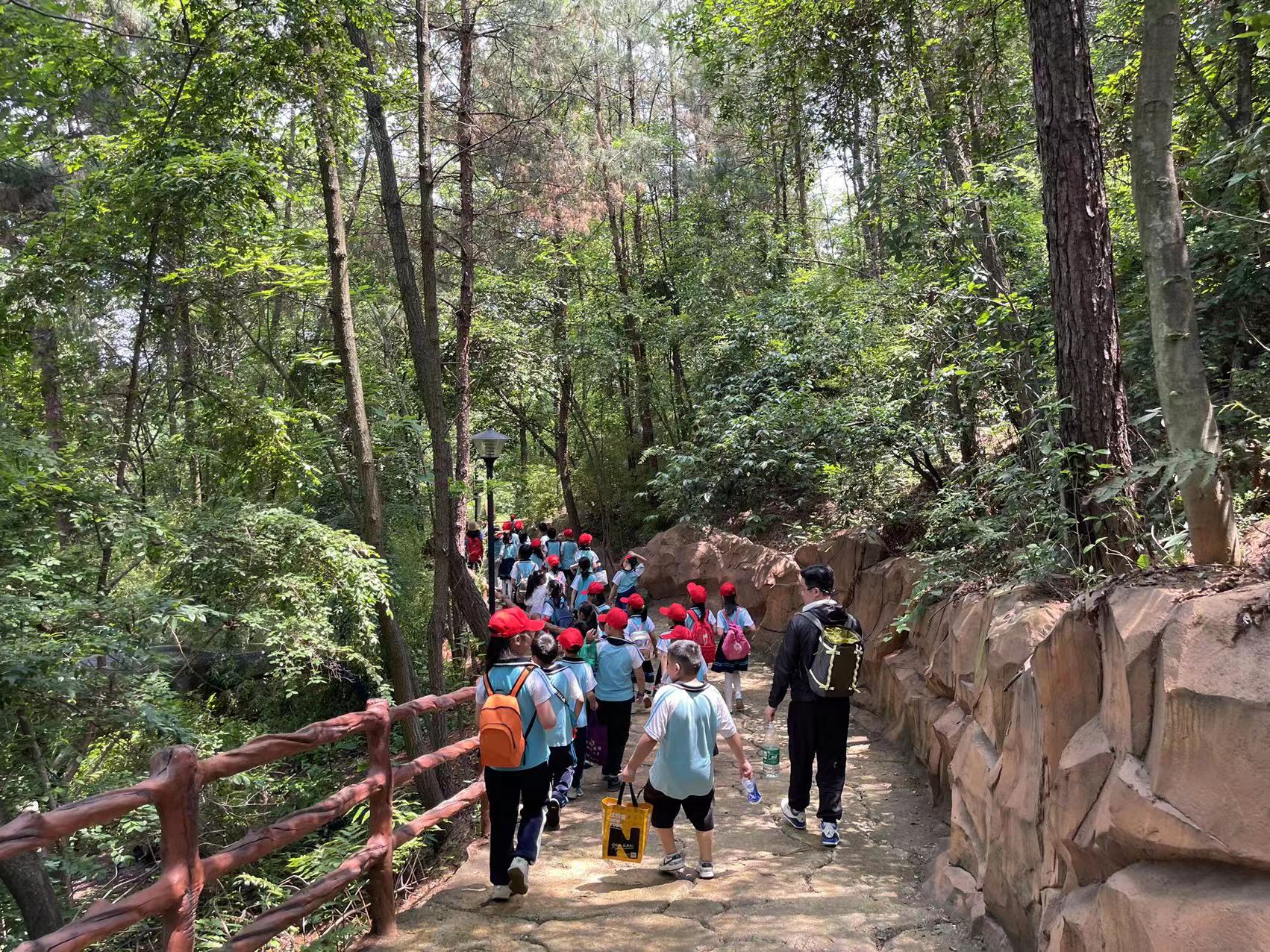 北塔小学开展研学实践活动