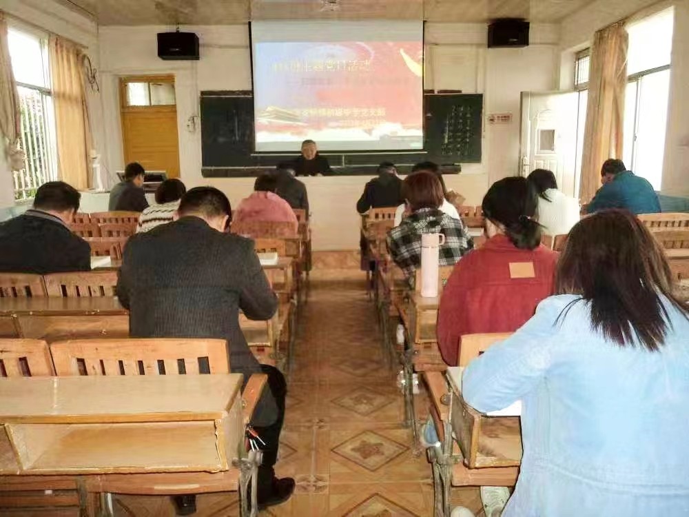 开展主题党日活动