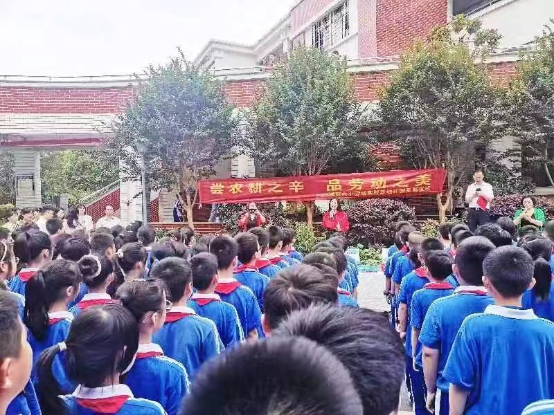 尝农耕之辛 品劳动之美