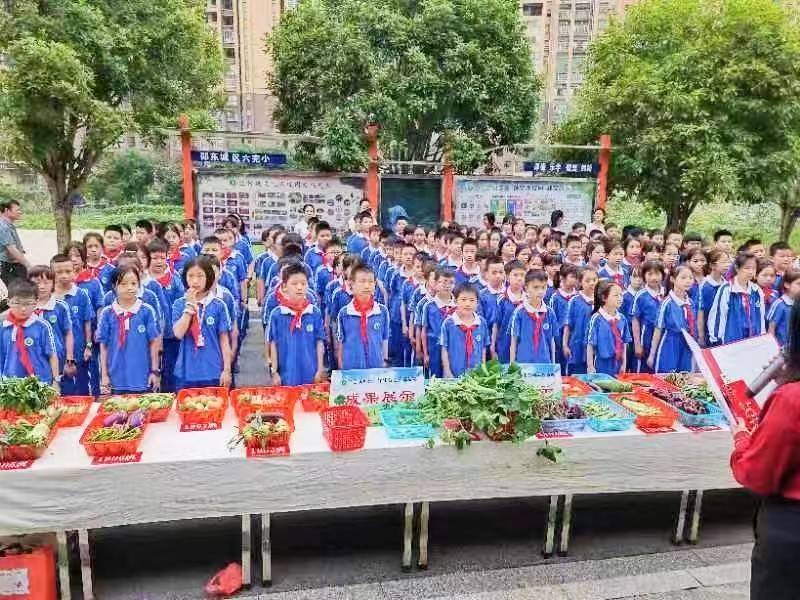 尝农耕之辛 品劳动之美