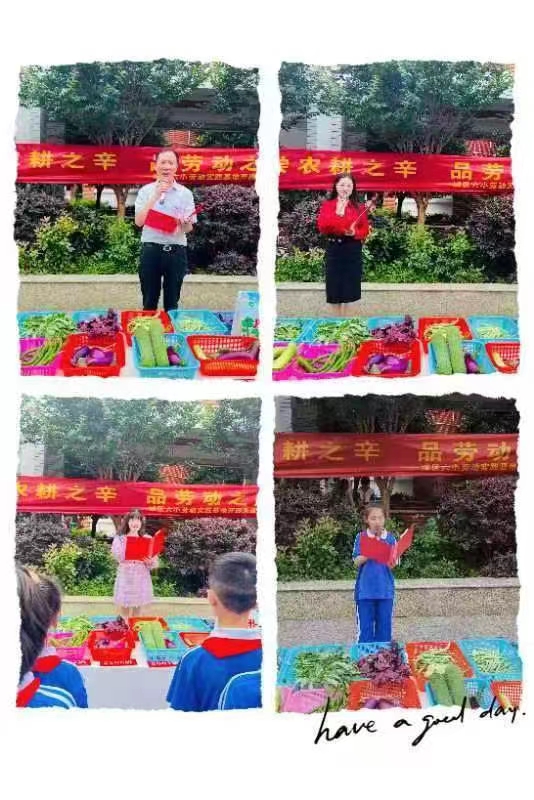 尝农耕之辛 品劳动之美