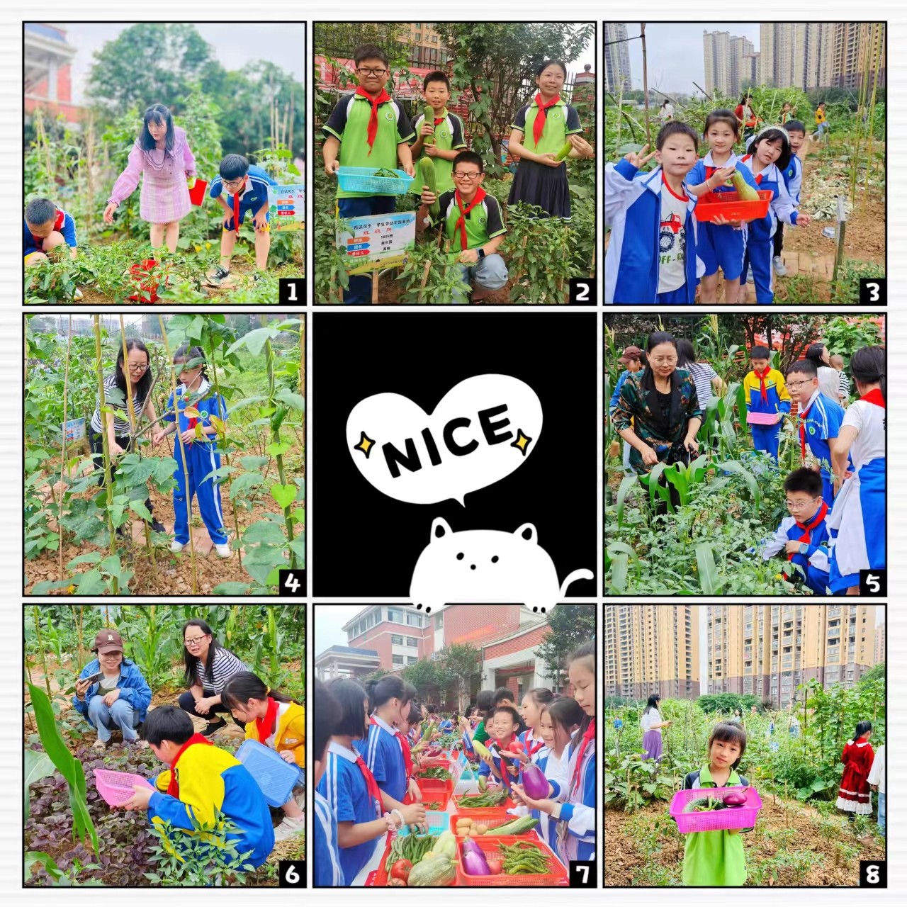 尝农耕之辛 品劳动之美