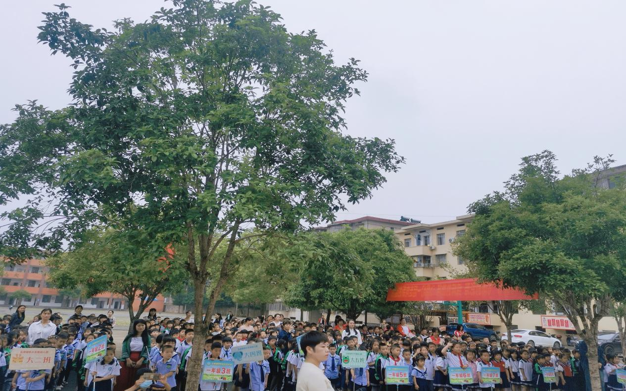 参观小学零距离，幼小衔接促成长
