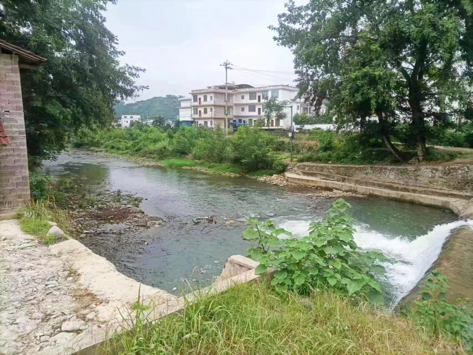 开展义务巡查，为安全保驾护航