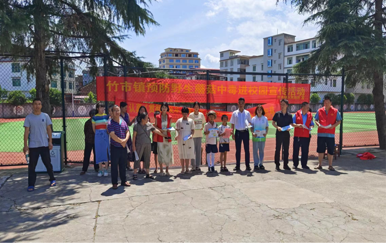 预防野生蘑菇中毒进竹市镇中学宣传