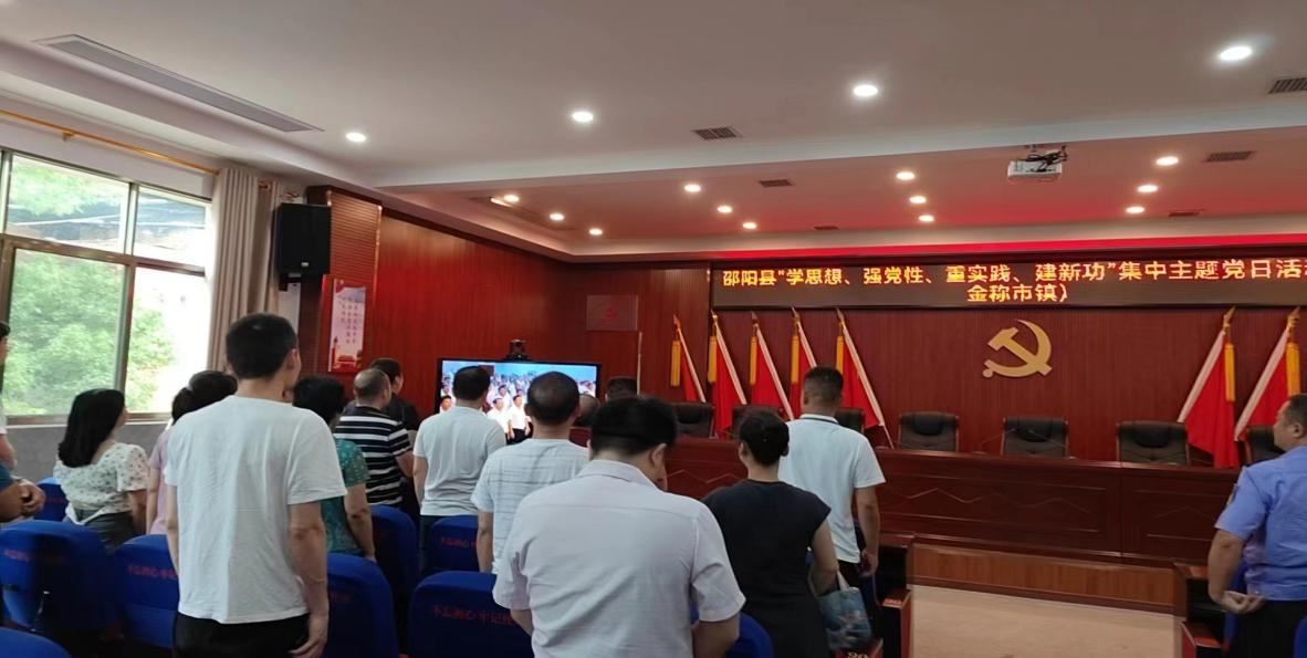 金称市镇教师党员参加邵阳县“学思想 强党性 重实践 建新功”集中主题党日活动