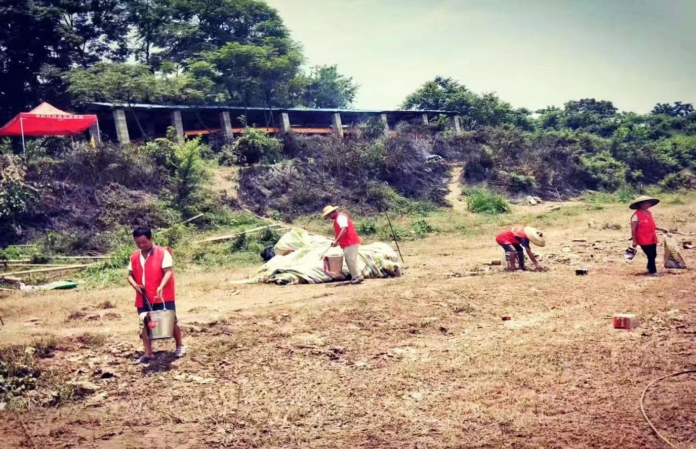 「我为群众办实事」维护公共环境卫生 助力文明城