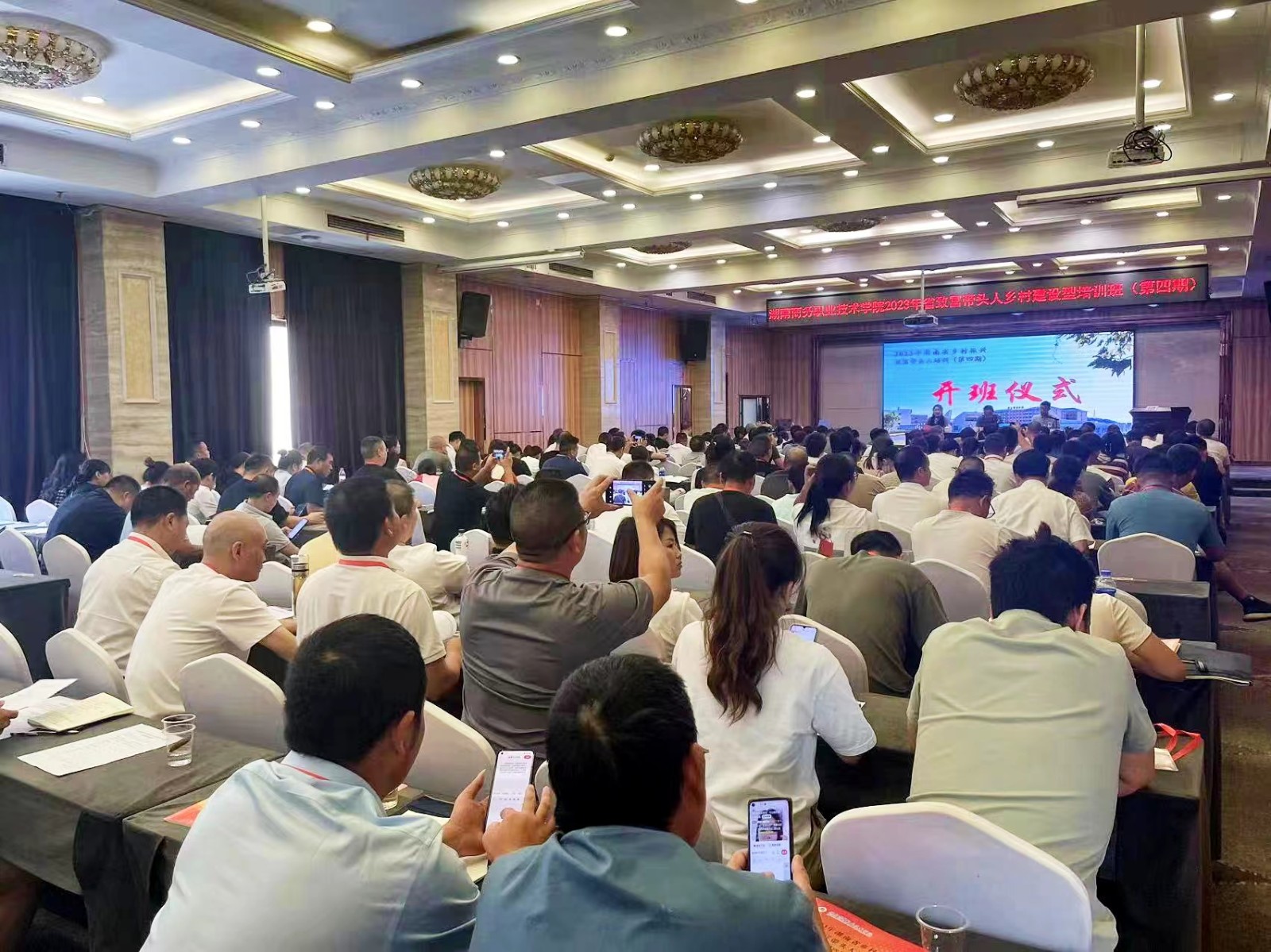 学好振兴致富经，充电赋能再出发