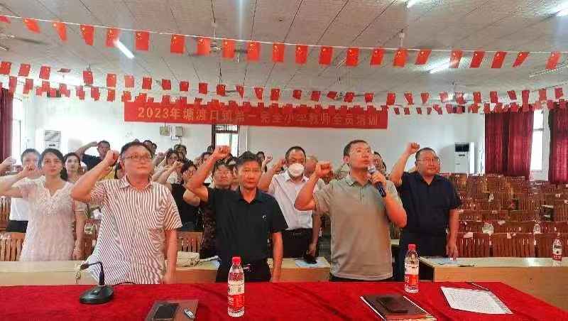 ​塘渡口镇第一完全小学党支部委员会举行换届选举工作